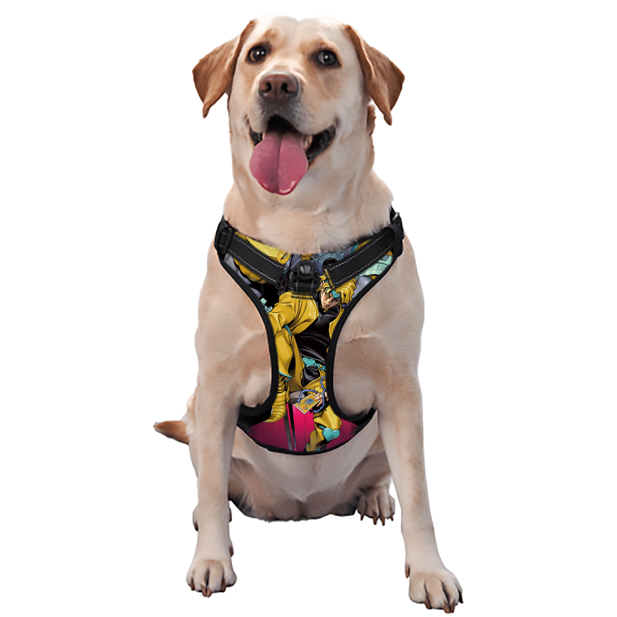 （画像用） ジョジョの奇妙な冒険 ディオ?ブランドー JoJo's Bizarre Adventure Dio Brando ペット用ハーネス